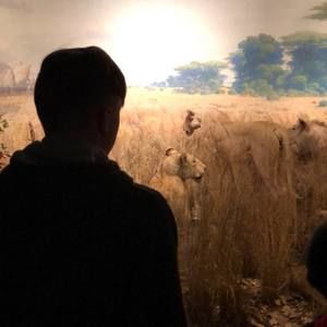 Meet your Posher, Connor